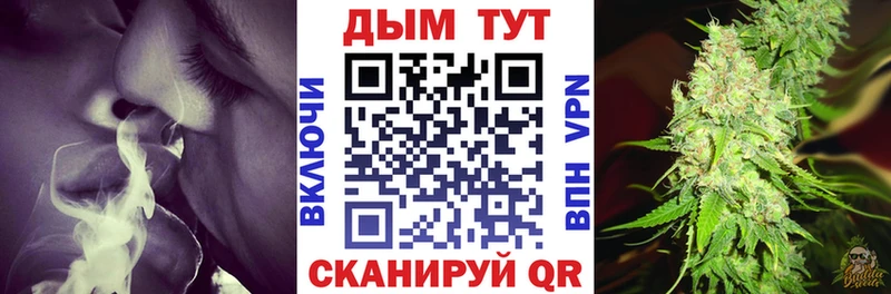 Купить  Петрозаводск  МАРИХУАНА сатива 